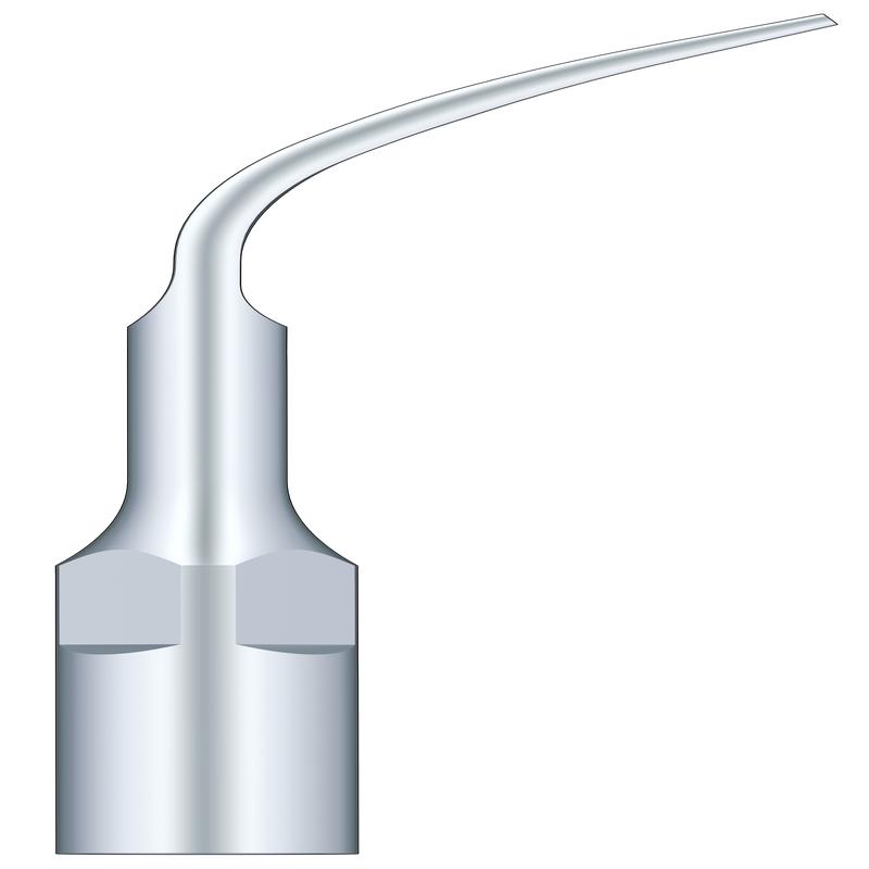 Supragingival Scaling G4